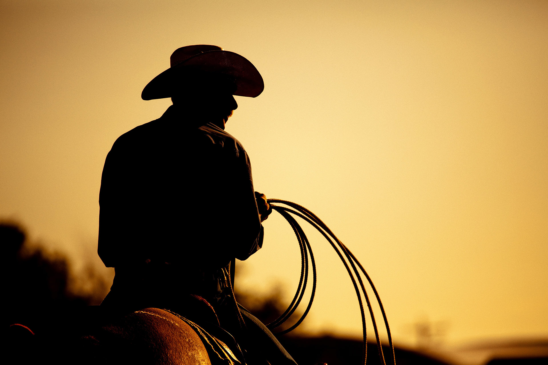 Horse Rider