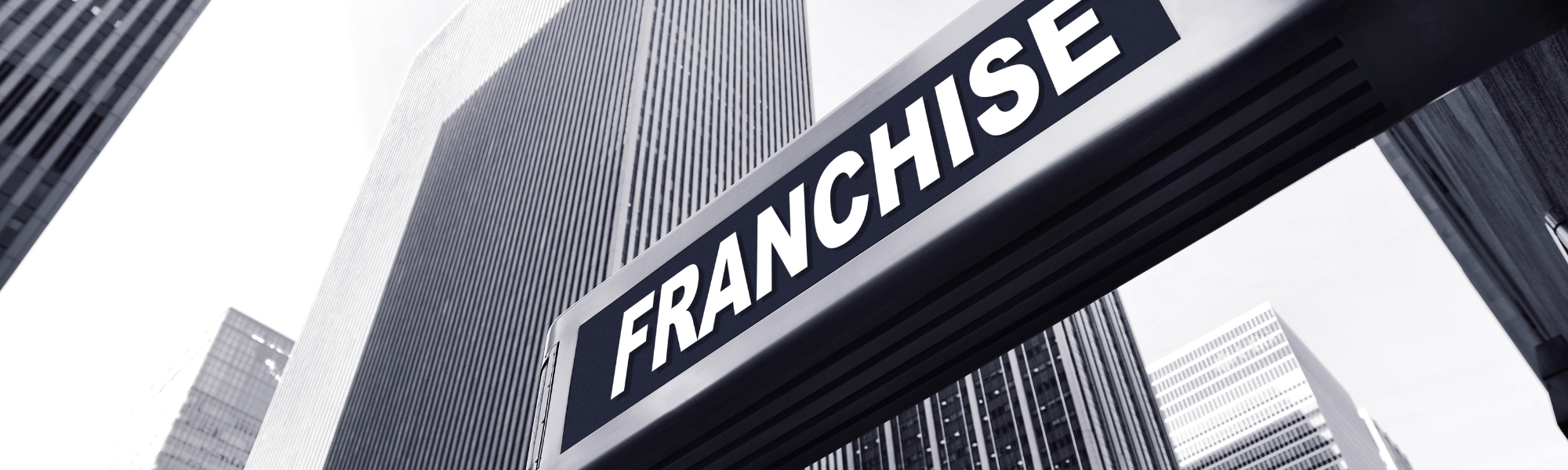 how to buy a franchise guide