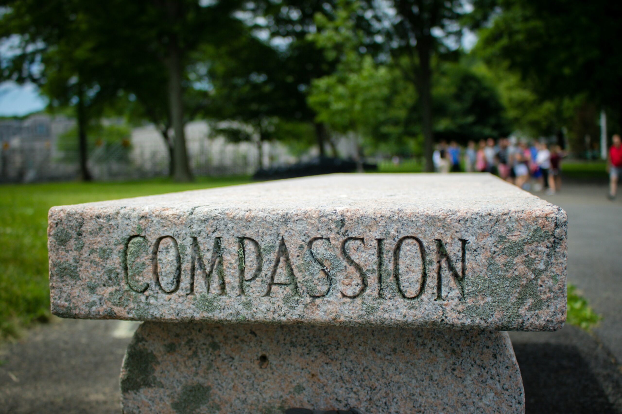 Compassion (1)