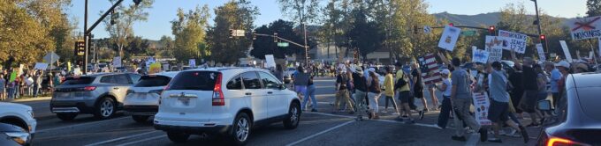 Image Not Found On Media Library